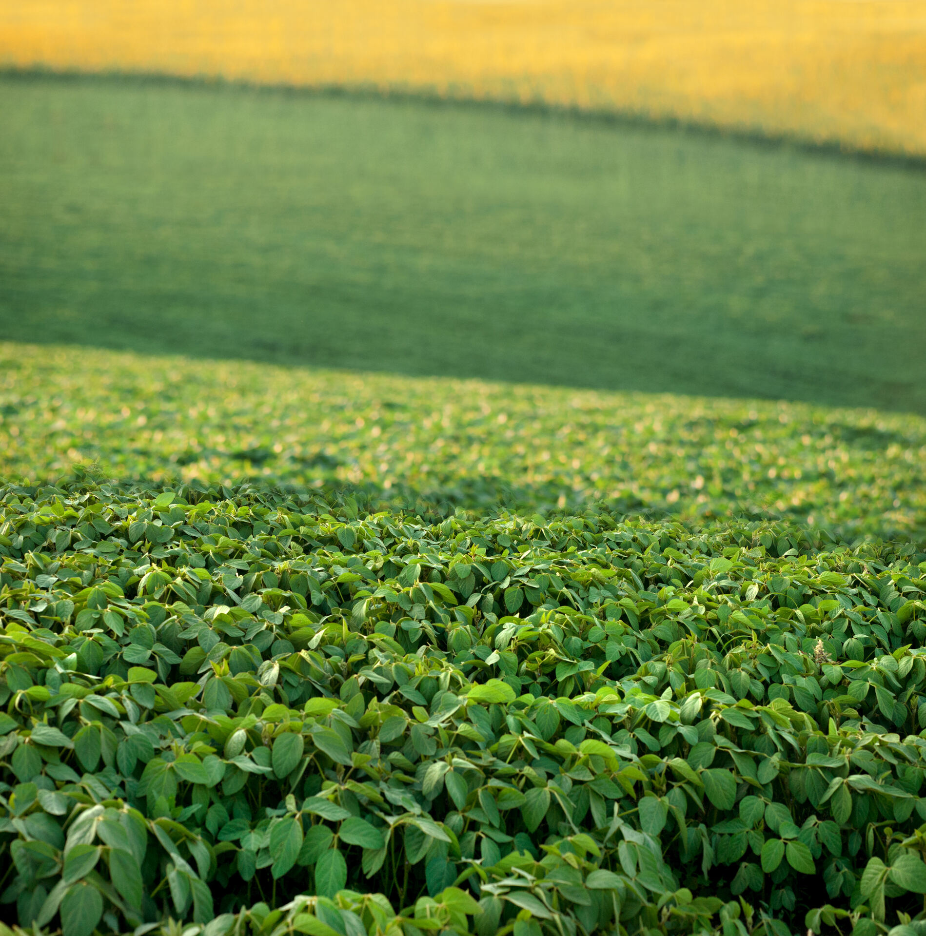 Exports β Agricultural Commodities