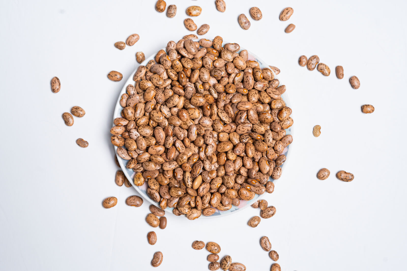 Pinto Beans