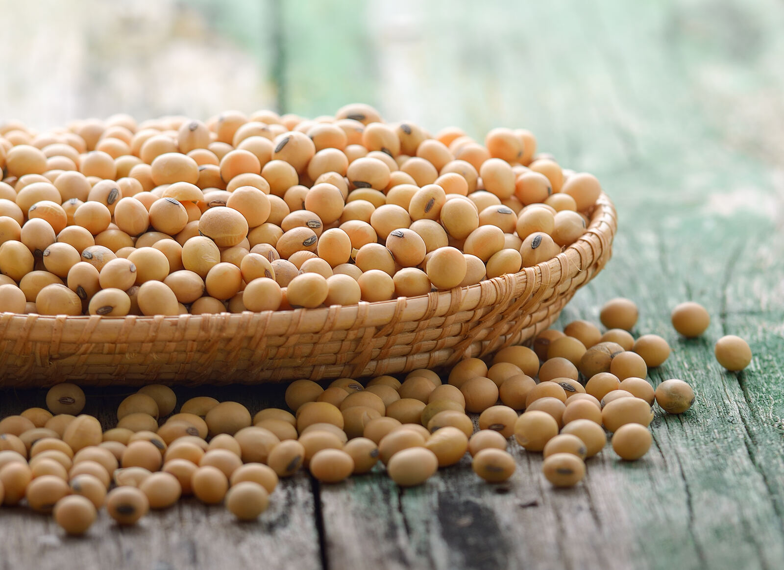 Soybeans