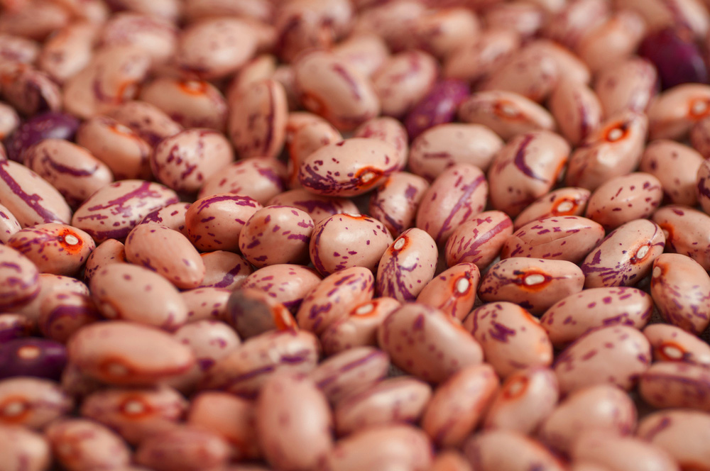 light spekled kidney bean