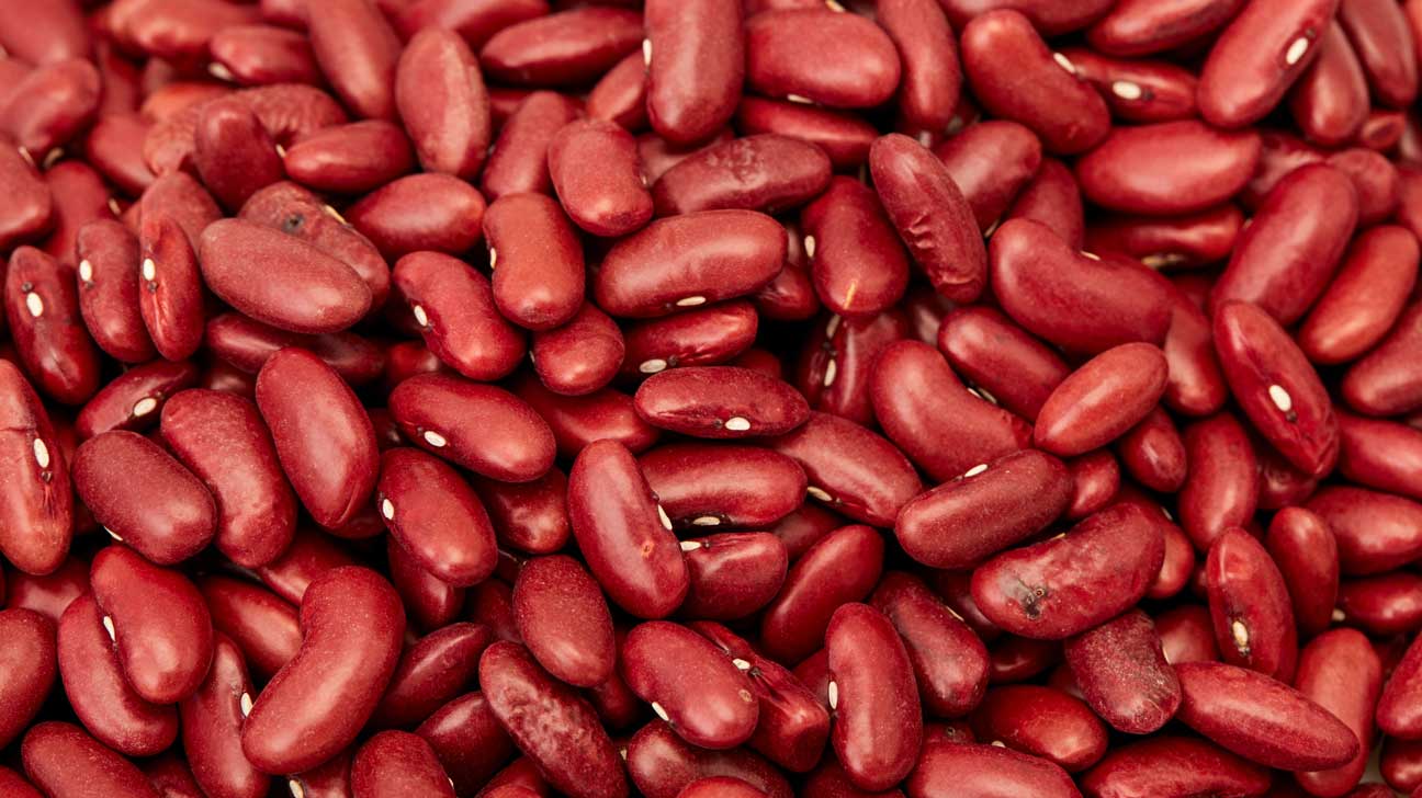 red kideney bean