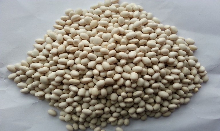 white pea beans