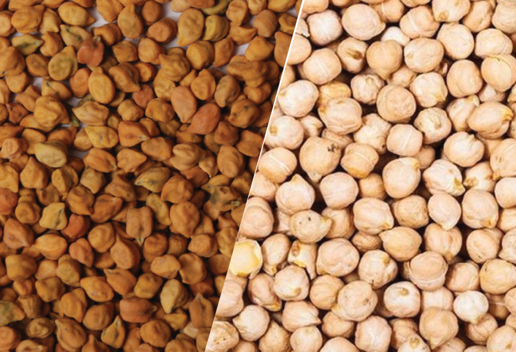 Chickpeas (Desi & Kabuli)