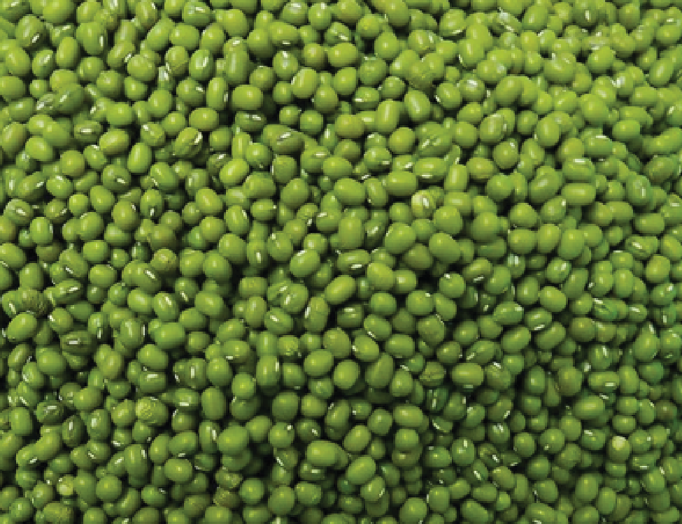 Green Mung Beans