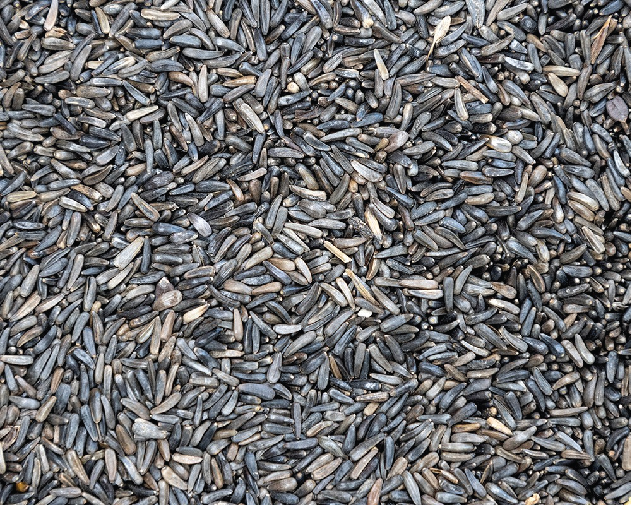 Niger Seeds