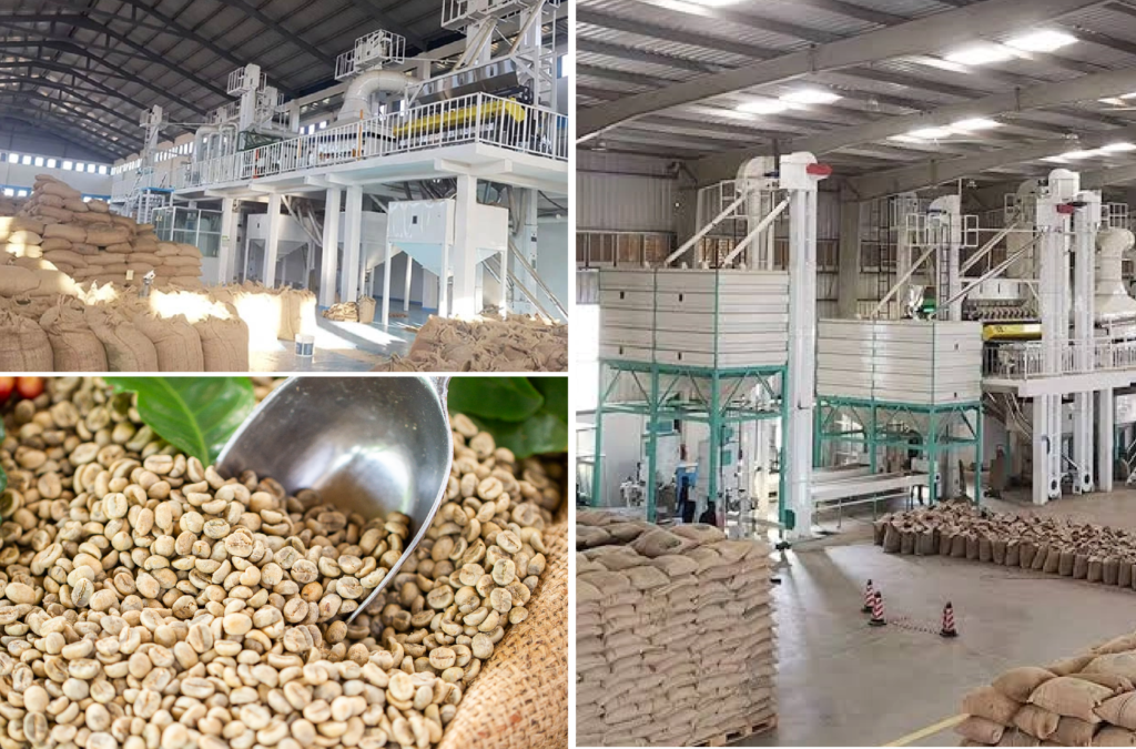 Coffee Processing